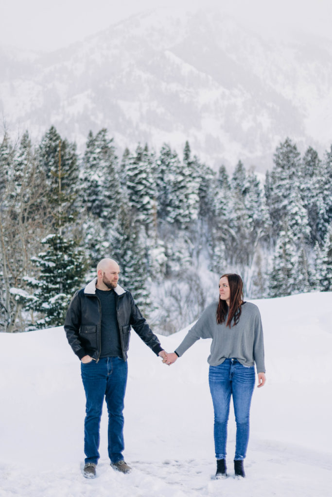 Snowy mountain engagements