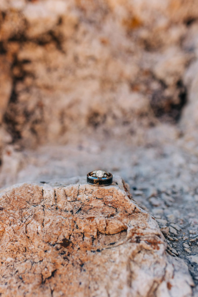 Antelope Island ring shot