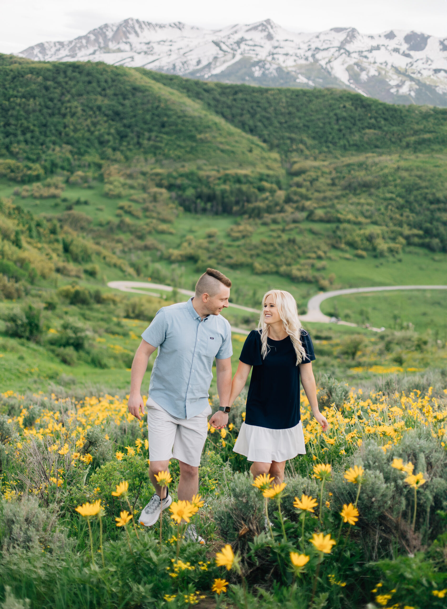 Wildflower mountain photography