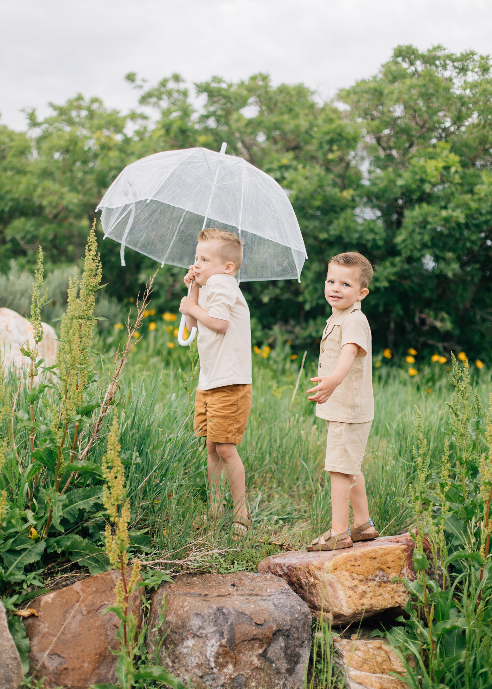 Mountain family photos