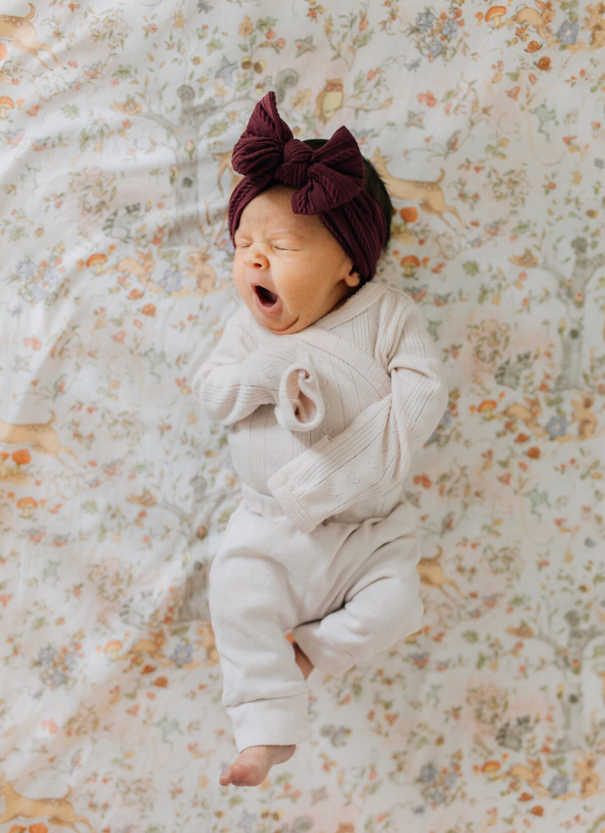 newborn photos in the crib