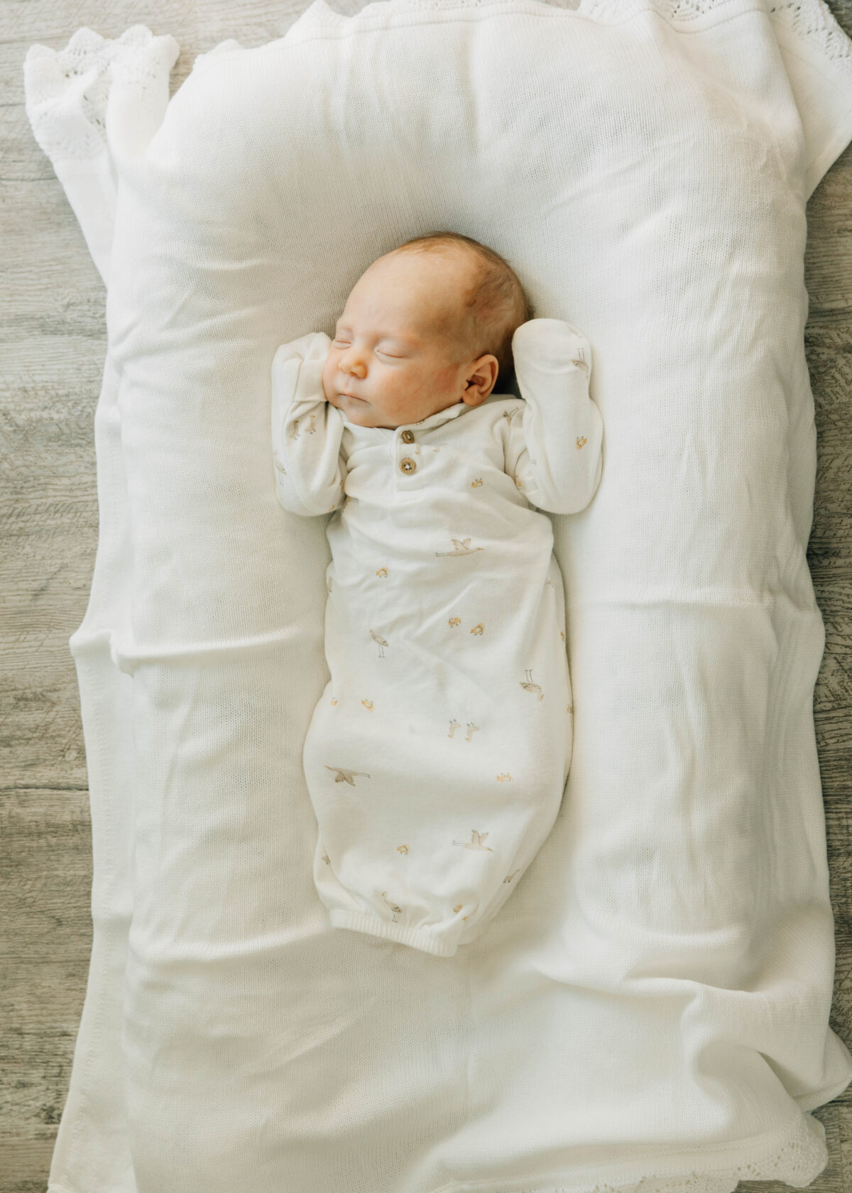 Newborn Photographer
